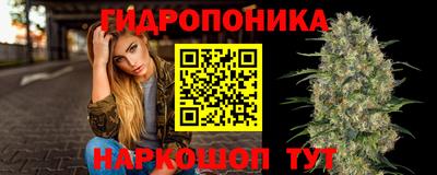 индика Янаул