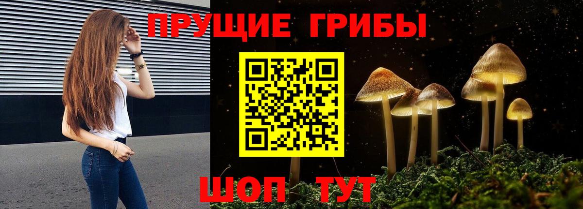Галлюциногенные грибы GOLDEN TEACHER Асбест